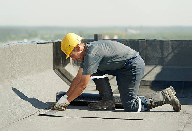 Best Affordable Insulation Services  in Meadow Oaks, FL