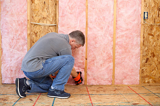Best Garage Insulation Installation  in Meadow Oaks, FL