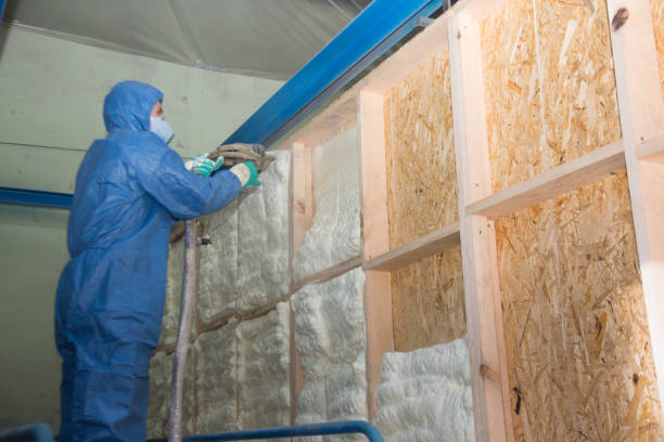 Best Crawl Space Insulation  in Meadow Oaks, FL