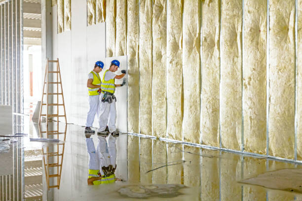 Best Home Insulation Services  in Meadow Oaks, FL